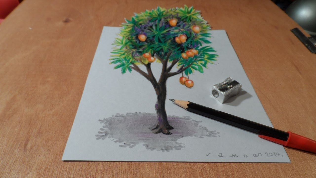 Drawing Tree - How to Draw 3D Mango Tree - Trick Art on 