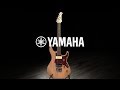 Yamaha Pacifica 311H Yellow Natural Satin | Gear4music demo