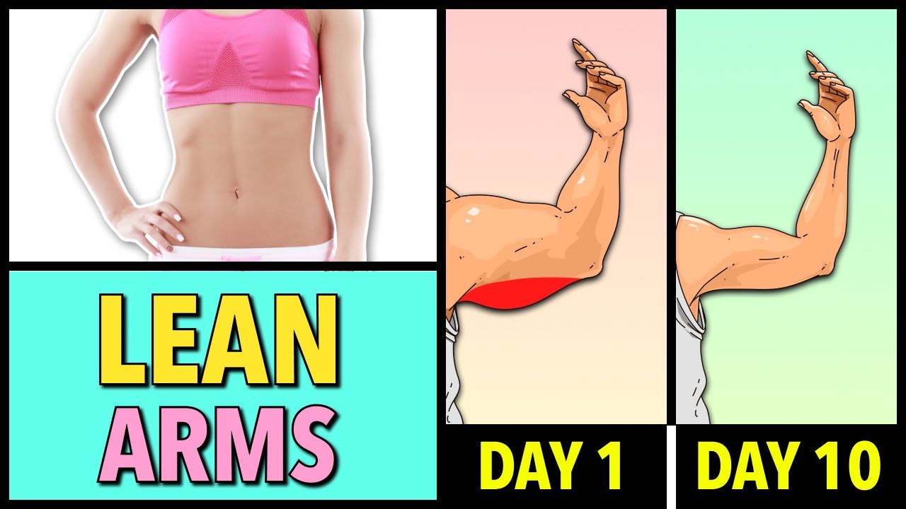 10-Day Lean Arms Workout – Beginner-Friendly Toning at Home - YouTube