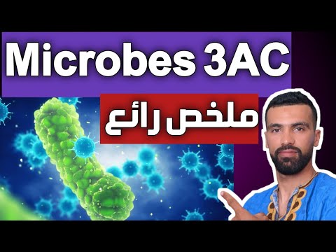 Les Microbes 3ème année collège 🔺 micro-organismes 🔺 Cours complet