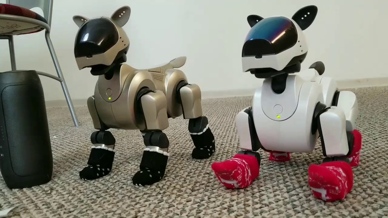 Aibo Dancer vs Disco - YouTube