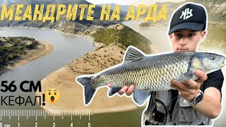 картинка: Уловихме 56 см кефал на река Арда | Откриване на риболовен сезон юни 2025 | Меандрите на р. Арда