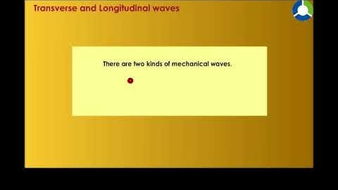 Transverse and longitudinal waves full concept best examples with animation