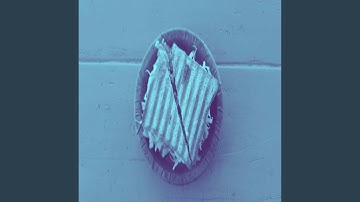 High Class After Work Meals