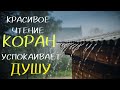 СЛУШАЙТЕ КРАСИВОЕ ЧТЕНИЕ КОРАН! УСПОКАИВАЕТ ДУШУ!