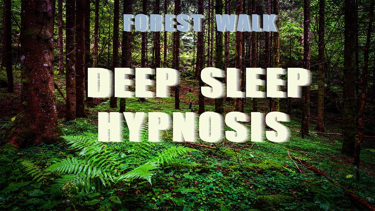 Tree Rows Hypnotic Deep Sleep Hypnosis | RAINY FOREST WALK | Peaceful Journey as the ...