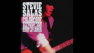 Power of Soul (Live Jimi Hendrix Cover) - Stevie Salas Colorcode