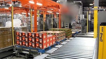 Fill and Pack USA   Palletizer Cartesian 2