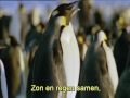 Alle kleuren van cd kom aan boord hqclip