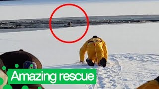 Firefighters Rescue Dog Stuck in Frozen Lake