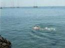 Harry Swimming at Ischia, Italia