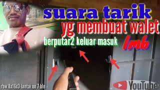 Suara tarik yg membuat burung walet berputar2 keluar masuk lmb