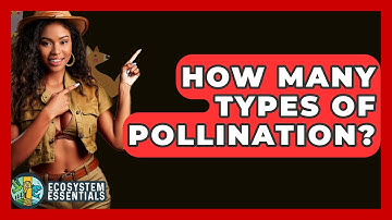How Many Types Of Pollination? - Ecosystem Essentials