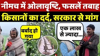 Hail fell in Neemuch: नीमच में ओलावृष्टि, फसलें तबाह, किसानों का दर्द, सरकार से मांग | MP Weather screenshot 3