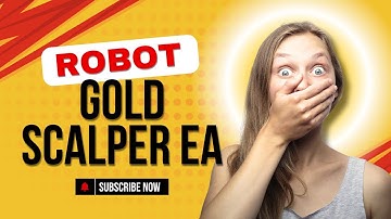 Best Forex Robot 2024 - Live Robot trading scalping - $1000