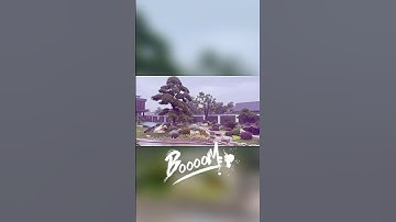 Bán Tùng la hán kiêm thiết kế sân vườn đẹp #tunglahan #tungnhat #vuonnhat #thietkesanvuon