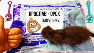 ПОСЫЛКА ОТ ПОДПИСЧИКА! Ярослав из Орска / CHIPICAO / Скрепыши