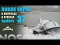 Карпфишинг в вопросах и ответах, выпуск 37, Колесников А.