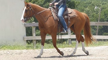 RJ Skipper - smooth easy jog, lope, stops! - ValleyViewRanch.net