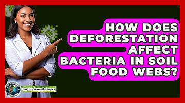 How Does Deforestation Affect Bacteria In Soil Food Webs? - Earth Science Answers