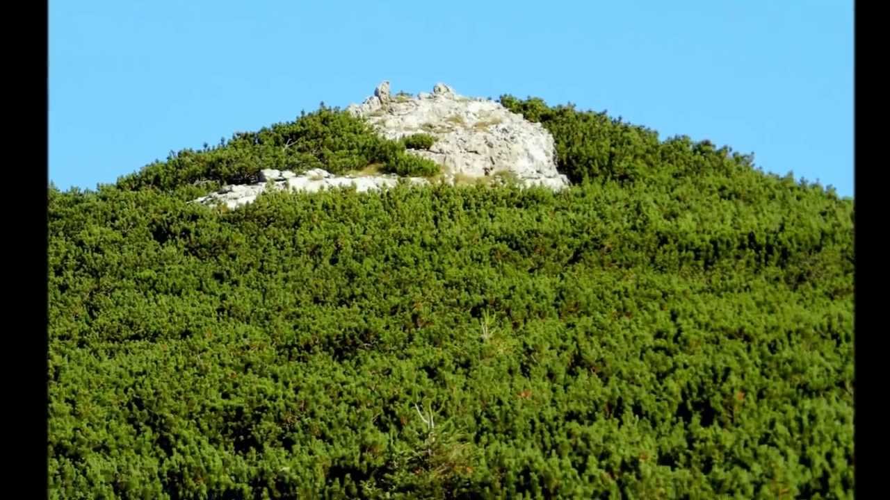 ANSAMBEL SNEŽNIK-- SNEŽNIK