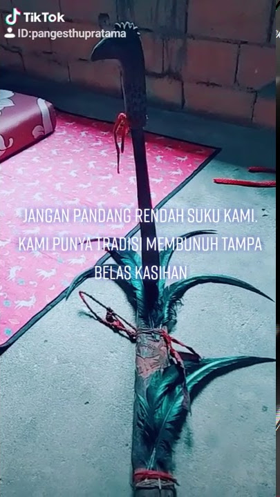 Quotes dayak