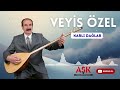 Veyis Özel - Karlı Dağlar  #aşkprodüksiyontürkü #visualizer #saz #aşk #türkhalkmüziği