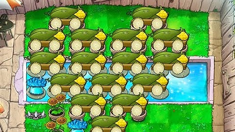 Heart 16 Cob | Survival Endless