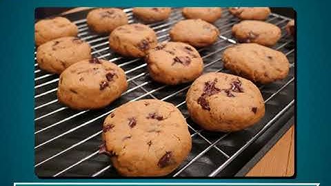 Incredible Science Class 4-Chapter 1-Page Number 12