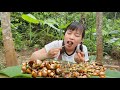 Survival Skills: Girl Cooking Snails In Forest And Eating Delicious #49