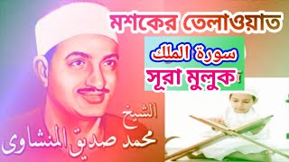 মশকের তেলাওয়াত, সুরা মুলুক surah mulk qari siddiq Al minshawi