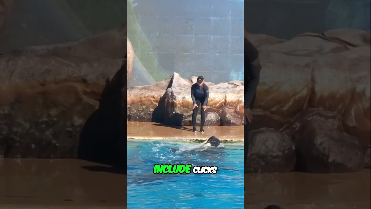 Orca Pod Secrets: Family, Intelligence & Underwater Chat!