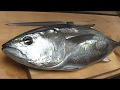 マグロ（メジ）のさばき方～握りと刺身の作り方 寿司屋の仕込み  how to fillet a tuna and make sushi and sashimi