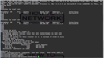 50 Manually configuring the OSPF Passive Interface