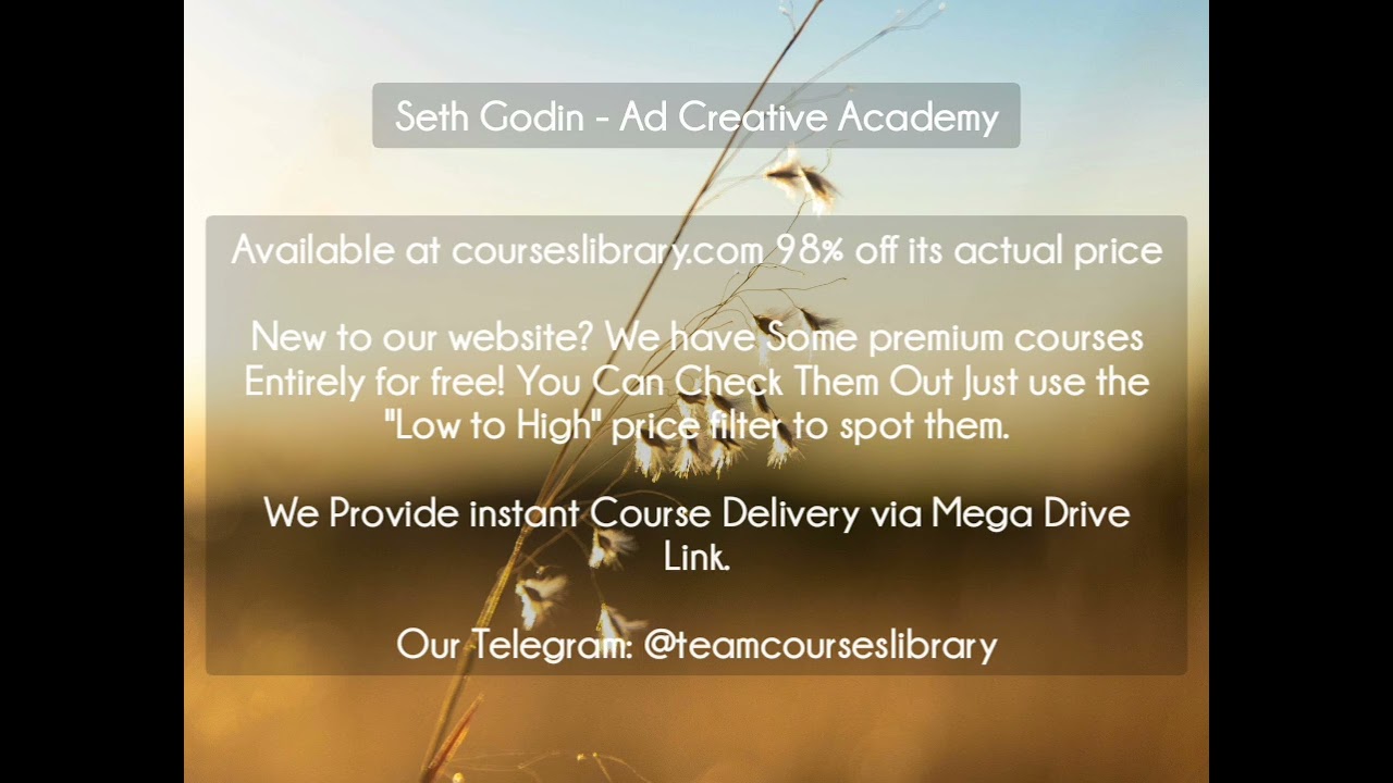 (HAVE) Seth Godin - Ad Creative Academy