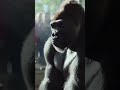Strong Man Hits Steel Barrel — Gorilla Destroys It in One Punch 😱🦍