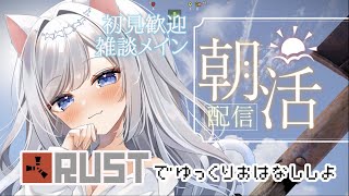さこくねこstray catの配信のサムネイル画像