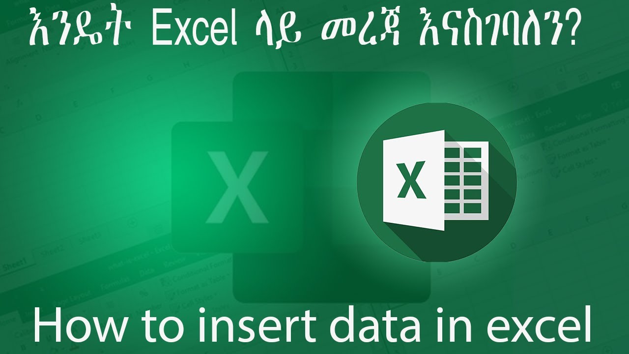 How to Insert Data in Excel | Beginner’s Guide እንዴት በቀላሉ ኤክሴል ላይ  መረጃ ማስገባት እንችላለን ለጀማሪዎች?