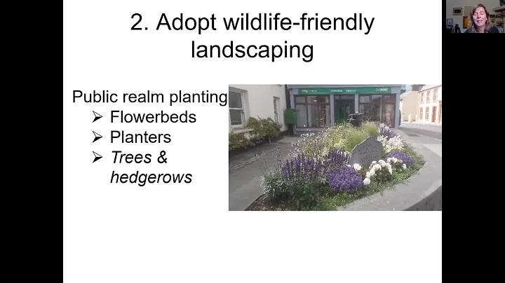 Tidy Towns and Biodiversity: Webinar with Janice F...