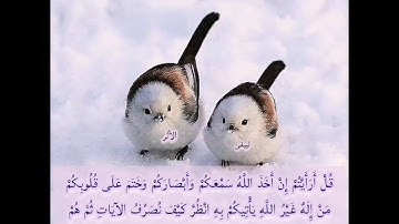 سورة الأنعام صفحة 133 مكررة بصوت الشيخ أيمن سويد
