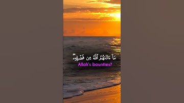 آيات بينات من الذكر الحكيم بصوت جميل ومأثر ❤ #اكسبلور #القرآن_الكريم #المغرب