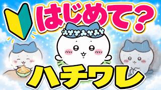 CHIIKAWA - What You Should Know About HACHIWARE FIRST - YouTube