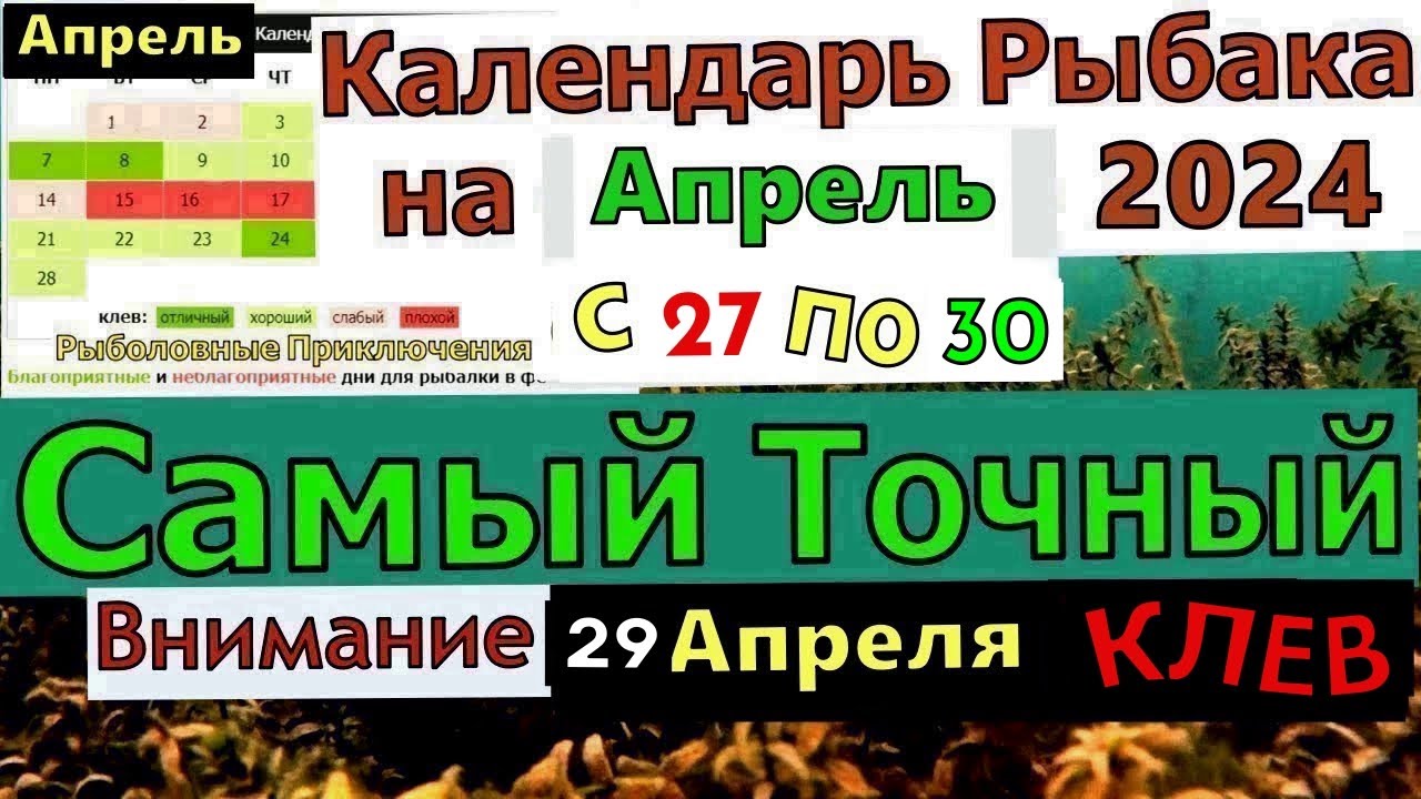 Прогноз клева рыбы на Эту неделю с 23 по 31 января. Лунный Календарь рыбака Лунн