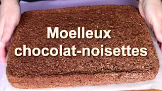 Moelleux chocolat-noisettes - Recette facile et rapide | Délicieux Gâteaux avec Alexa