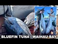 Far Out! | Bluefin Tuna Double
