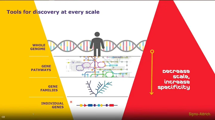 From Bench to Bedside Targeted Gene Editing