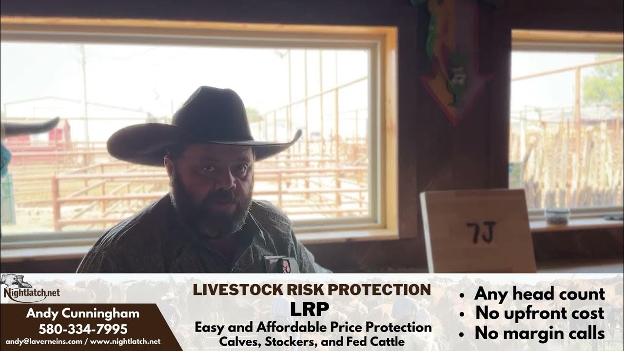 9/5/23 Cattle Market Report Beaver County Stockyards YouTube