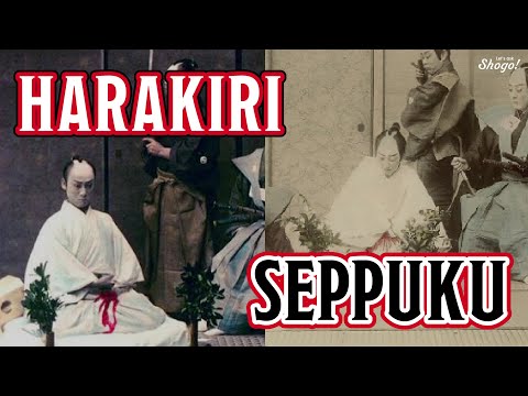 Vídeo: Què Són Hara-kiri I Seppuku