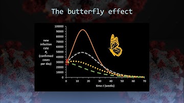 12.4 The butterfly effect and COVID-19