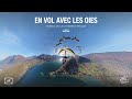 En vol avec les oies à 360° - Vidéo 360 - 6k